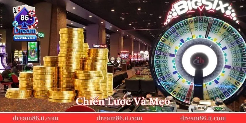 Chien-luoc-va-meo