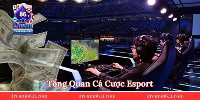 Tong-quan-ca-cuoc-esport