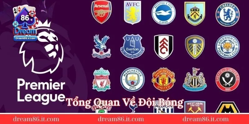 Tong-quan-ve-doi-bong
