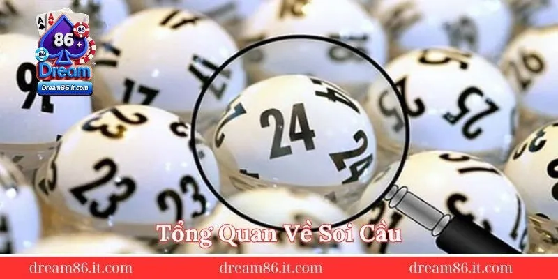 Tong-quan-ve-soi-cau